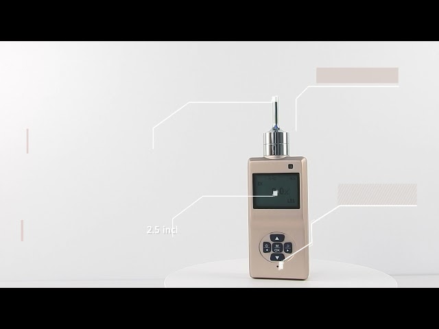 China Hohe Präzisions-einzelner Gas-Detektor mit Schutz-Grad LCD-Anzeigen-IP66 à vendre